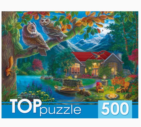 ПАЗЛЫ 500 элементов. НОЧНОЙ ПЕЙЗАЖ И СОВЫ, Ф500-6620